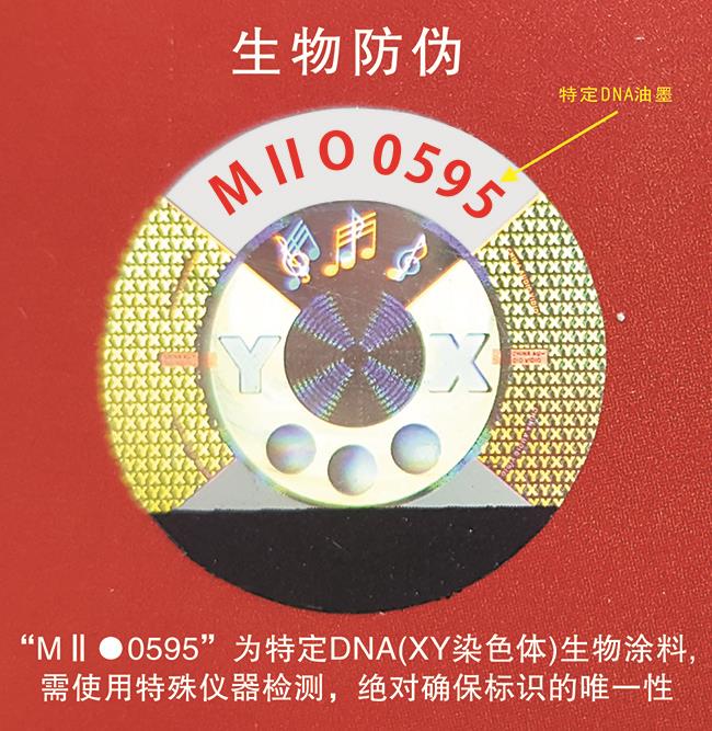 DNA认证男男车车的车车动漫